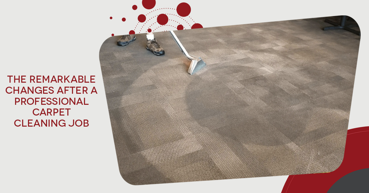 Is Professional Carpet Cleaning Worth the Money?